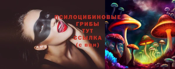 первитин Лагань