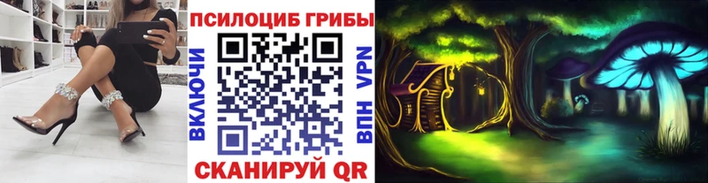 как найти   Среднеколымск  Псилоцибиновые грибы Magic Shrooms 