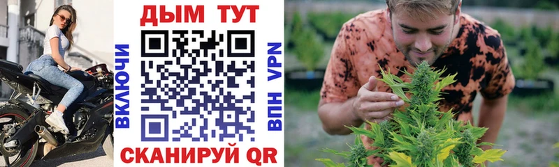 Конопля гибрид где найти ОМГ ОМГ вход Среднеколымск
